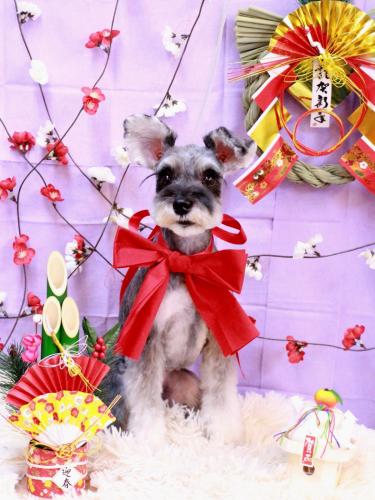 20230107むぎちゃん